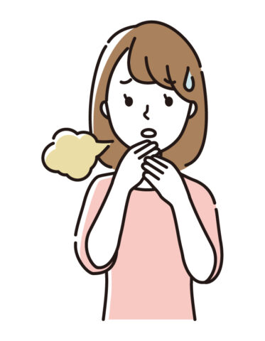 トップページ